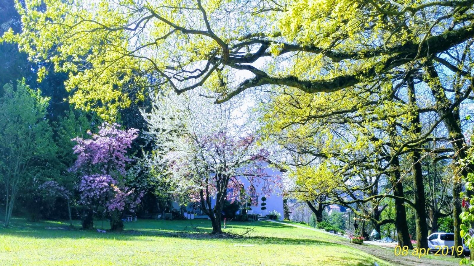 "La Selvetta" bed and breakfast Buguggiate Eksteriør billede